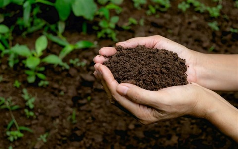 Hands holding soil