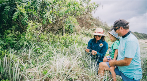 Photo of coastal plants.png