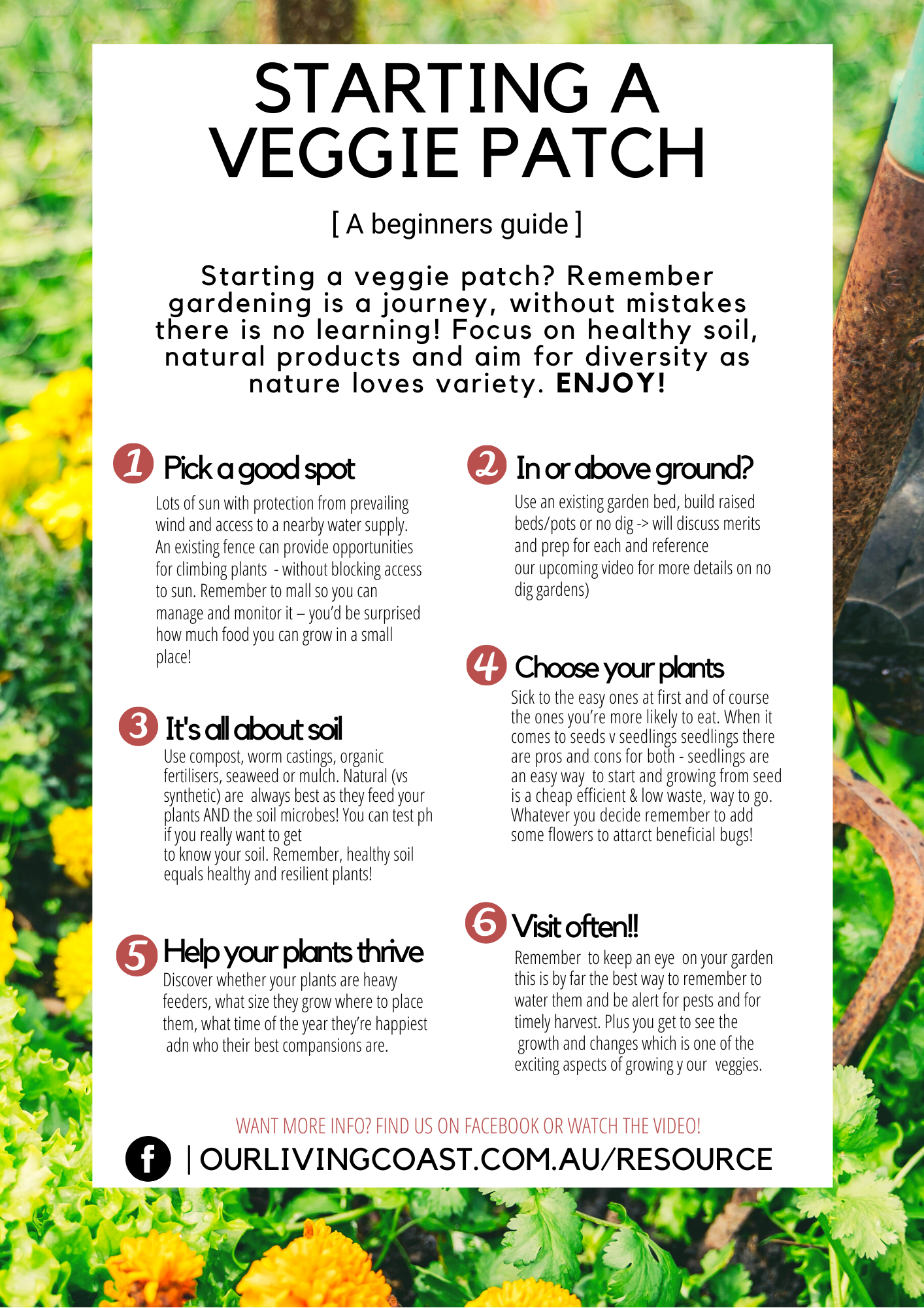 Starting-a-Veggie-Patch-RESOURCE-SHEET.png