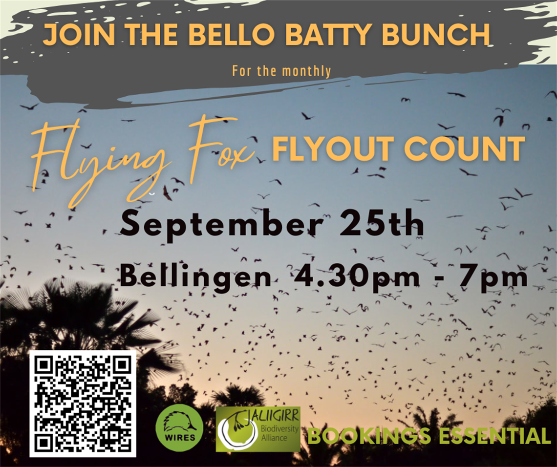 FF-flyout-count-Facebook-Post