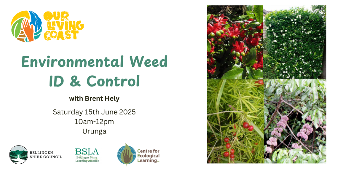 OLC-Weed-Banner