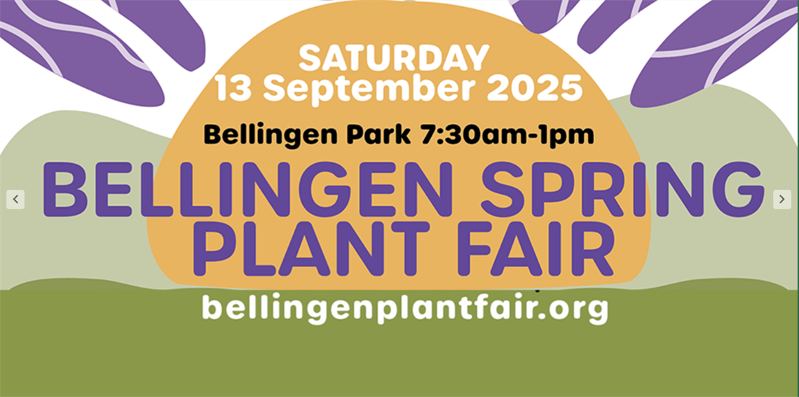 Bellingen-Spring-Plant-Fair-2025